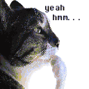 Cat thinking - End Flash