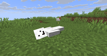 Lie with C