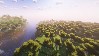 Daylight in a forest