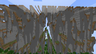 UnstableSMP farlands