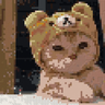 DouglasCraft