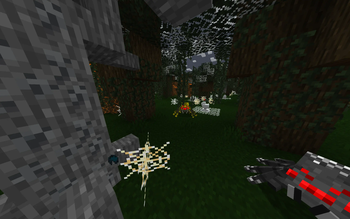 Spider Biome