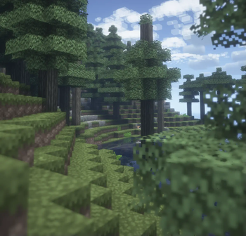 PGM's Medieval