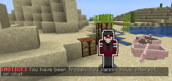 You Have Been Frozen