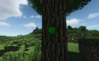 on tree