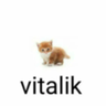 playvital