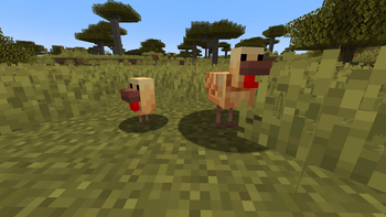 Warm Chicken