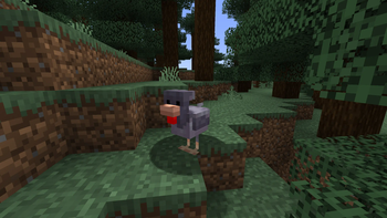 Cold Chicken