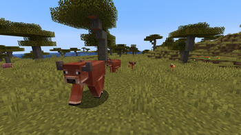 Warm Cow
