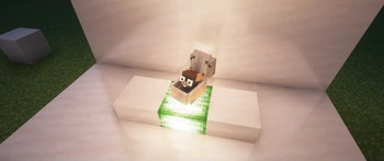 Dropped Item