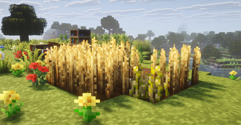 3b Plant