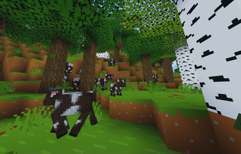 Mooo🐮