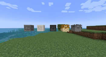 All Five Blocks