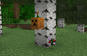 Head and Spawn Egg