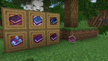 Item Frames