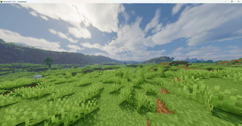 touch grass