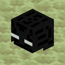 Enderman Head