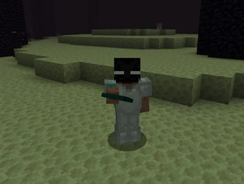 Enderman Head — screenshot 2