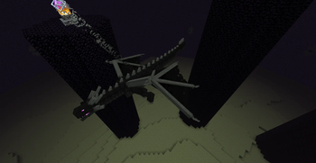 Ender Dragon (flying)