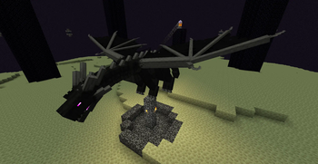 Ender Dragon (perch)