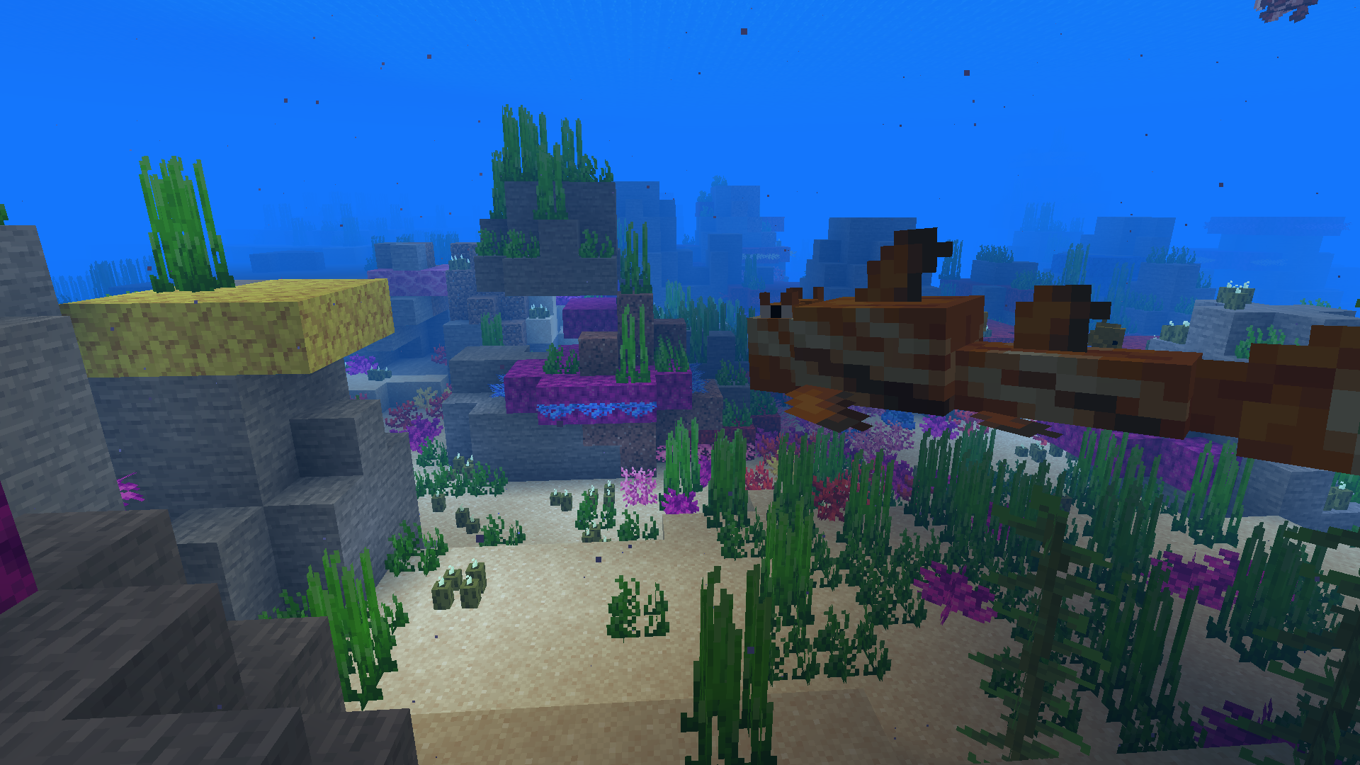 A Clownthorn shark in the reef