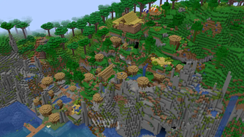 A village