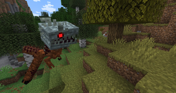 Chicken hunt.