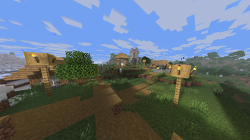 Village