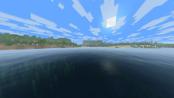 Water