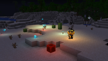 colored lights showcase