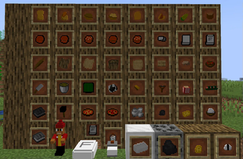 Collection