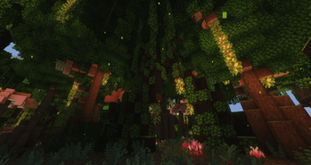 forest