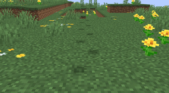 Player footprints