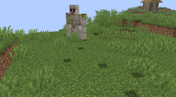 Iron Golem Footprints