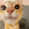 Drkkk