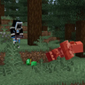 Villager/ Wandering trader drops