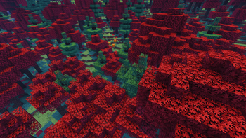 Maple Woods