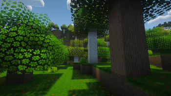 Trees