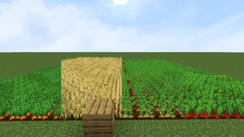 Crop Variation - All Crops