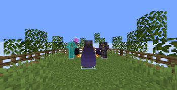Elytra