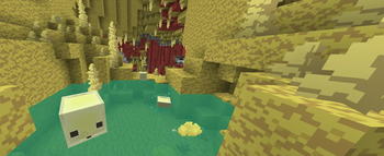 Showcase 1