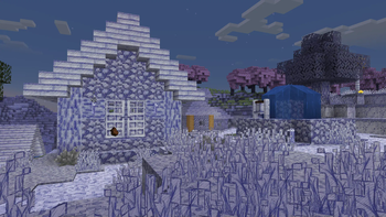 Village