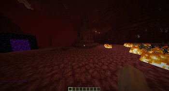 Nether