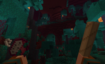 Nether