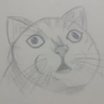 CatBossAAA