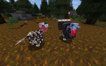 Turkeys!