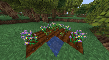 Crops in the Mod (1.1)