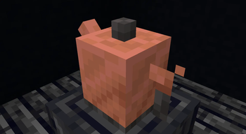 Kettle (1.1)