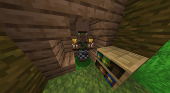 Brewer Villager