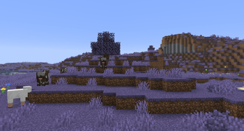 GammaPack — screenshot 8